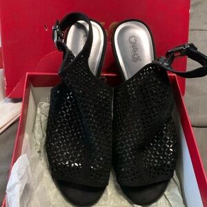 Carlos by Carlos Santana size 9.5M heal